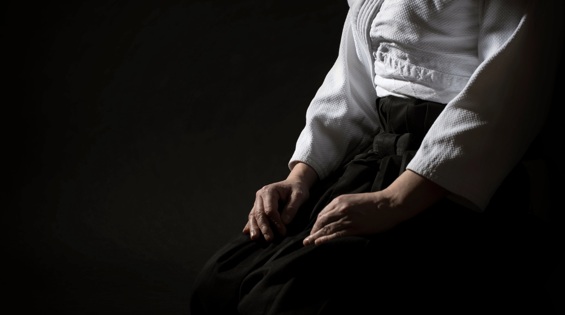 Fondo Aikido
